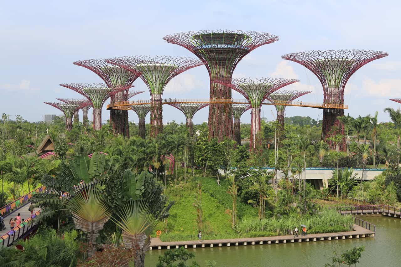 Grove of tall tree-shaped vertical gardens with steel canopies rising above tropical planting beside a pond.
